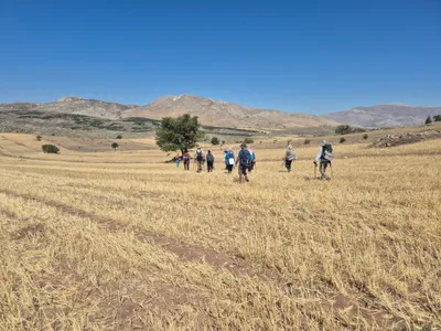 Mamatlar Göleti, Yeşiloba Göleti, Söğüt Baraj Gölü