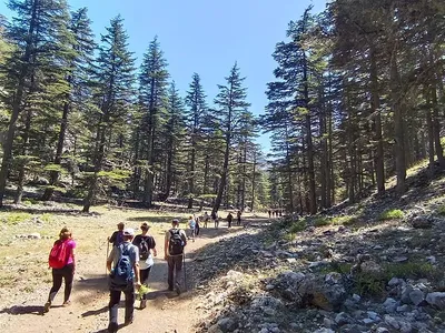 Tahtalı Dağı Eteklerinde Likya Yolu Yürüyüşü