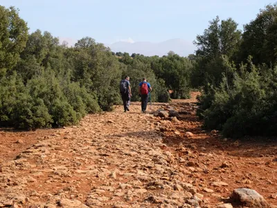 Elmalı Milas Yolu Doğa Yürüyüşü